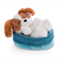 NICI Hund Sleeping Puppies Cockerspaniel im türkisen Körbchen | Kuscheltier.Boutique