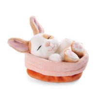 NICI Hase Sleeping Bunnies gefleckt im orangen Körbchen | Kuscheltier.Boutique