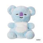 BT21 KOYA Palm Pals Plüschfigur Vorderseite | Kuscheltier.Boutique