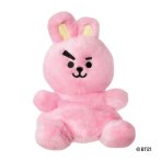 BT21 COOKY Palm Pals Plüschfigur Vorderseite | Kuscheltier.Boutique