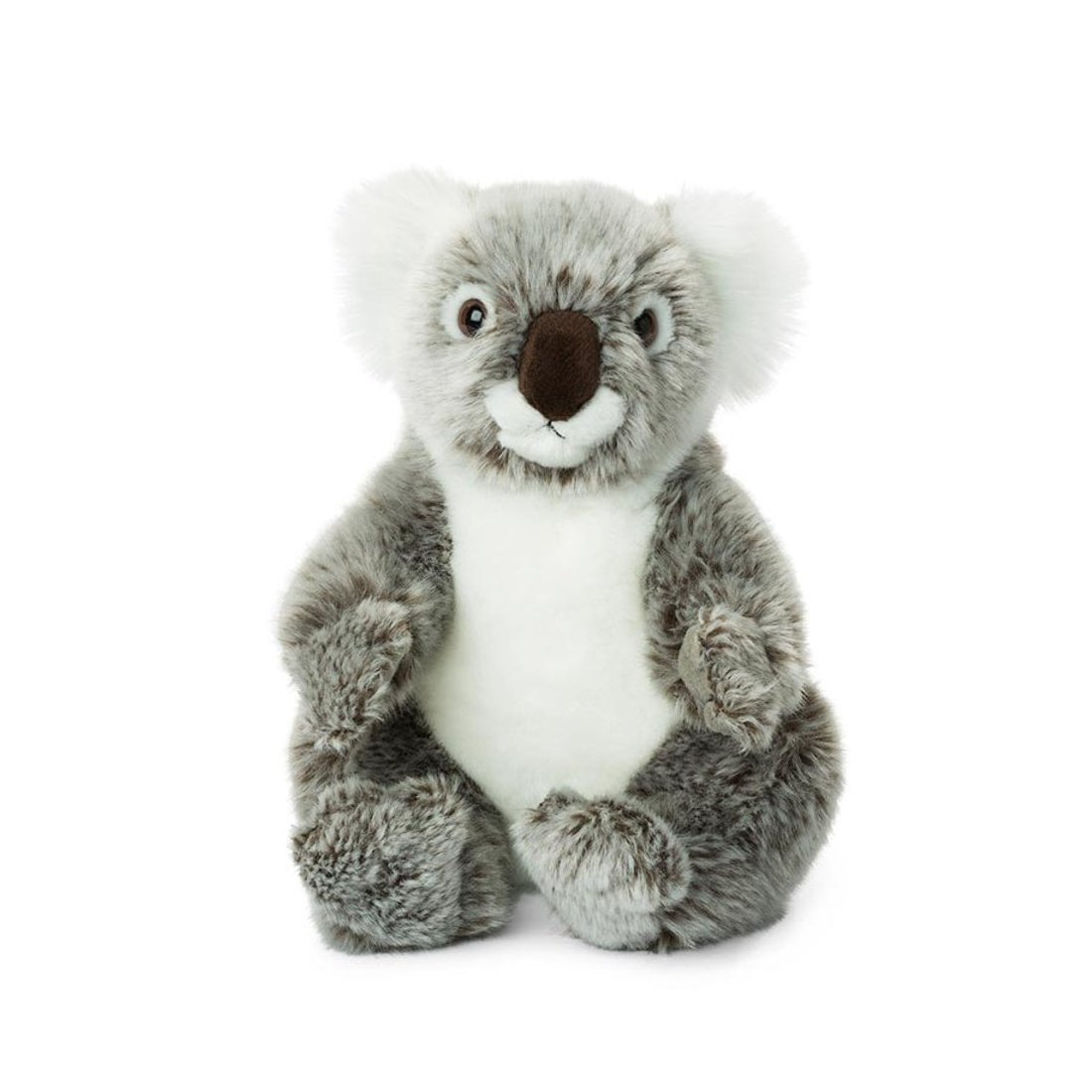 WWF Plüsch Koalabär Vorderseite | Kuscheltier.Boutique