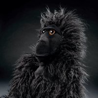 sigikid BEASTtown Gorilla Gi Gi, Profil | Kuscheltier.Boutique
