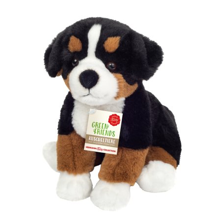 Hermann TEDDY Green  Friends Berner Sennenhund dreifarbig, Vorderseite | Kuscheltier.Boutique