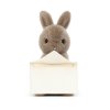 Jellycat Hase Messenger Bunny mit offenem Umschlag | Kuscheltier.Boutique