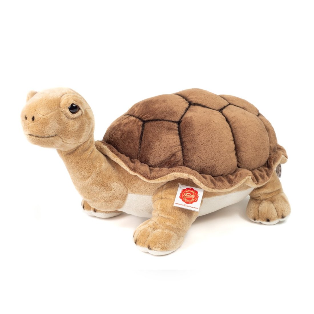 Hermann TEDDY Landschildkröte 50cm Vorderseite | Kuscheltier.Boutique