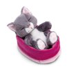 NICI Sleeping Kitties graue Katze im rosa-pinken Körbchen | Kuscheltier.Boutique