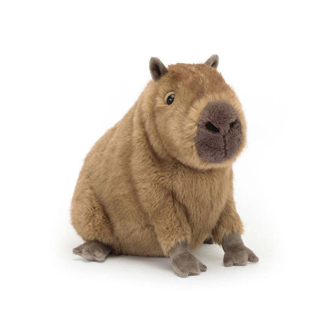 Jellycat Clyde Capybara, Vorderseite Wasserschwein  