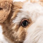 Steiff Originals Foxterrier Foxie dreifarbig Auge | Kuscheltier.Boutique