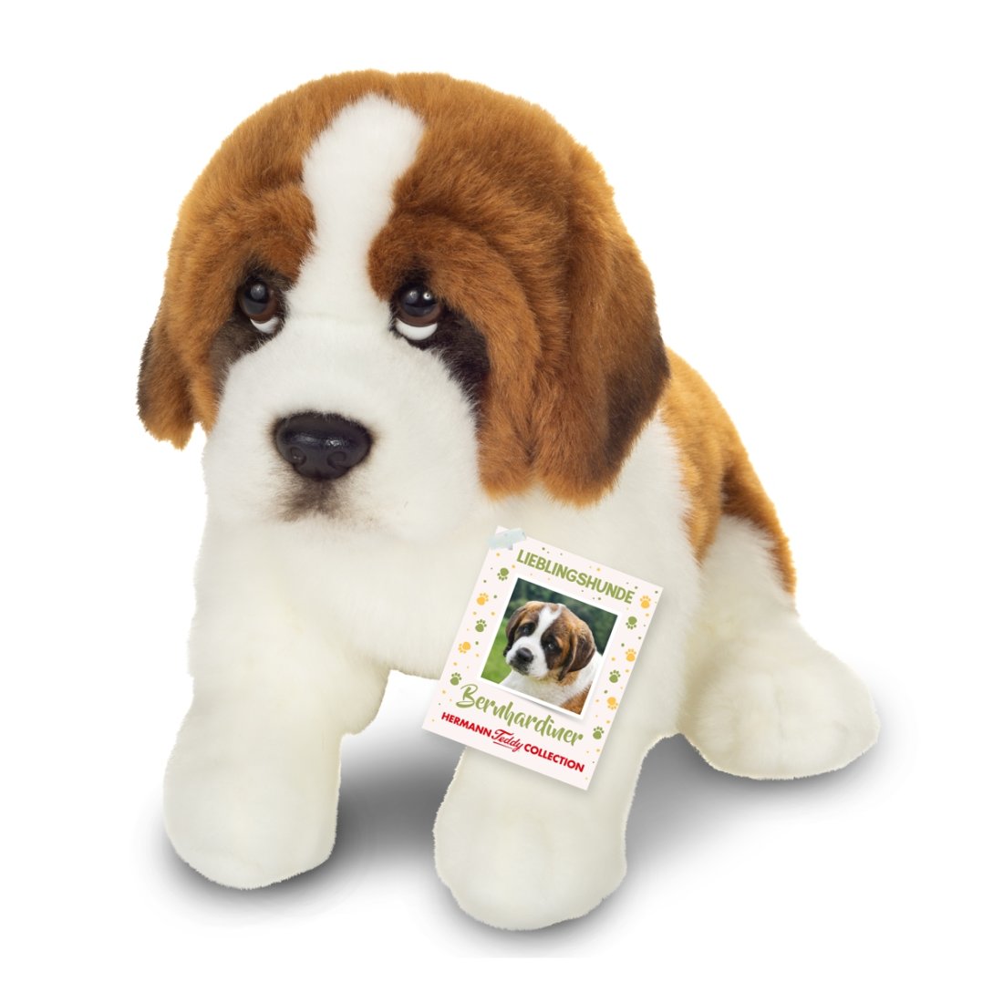 Hermann TEDDY Lieblingshunde  Bernhardiner Vorderseite | Kuscheltier.Boutique