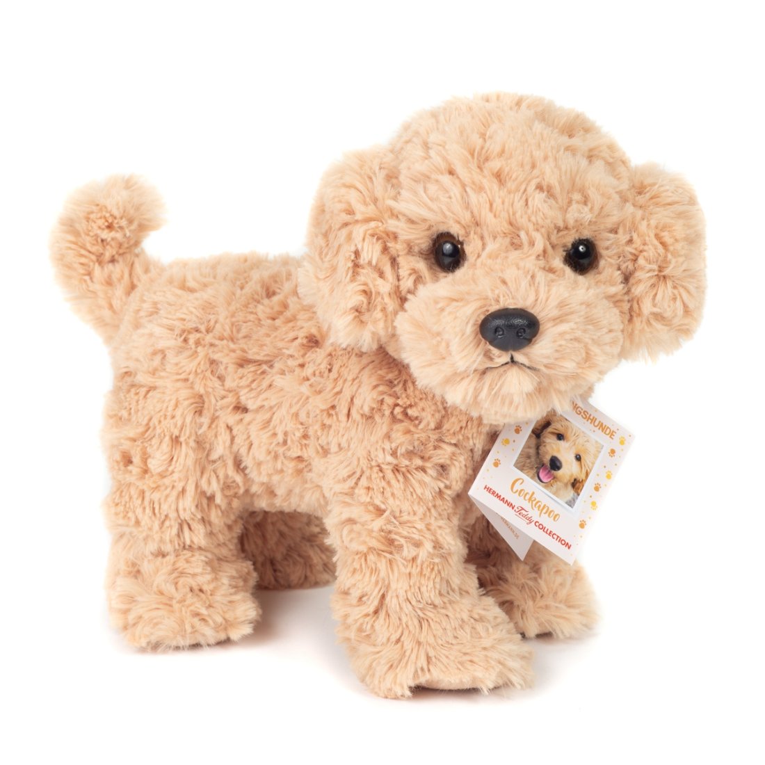 Hermann TEDDY Cookapoo, Vorderseite 