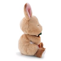 NICI Sleeping Pets Hase mit Karotte sitzend | Kuscheltier.Boutique