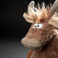 sigikid BEASTS Bulle Taurus Saurus Gesicht | Kuscheltier.Boutique