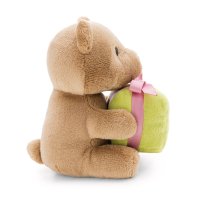 Nici Teddybär mit grünem Geschenk linke Seite | Kuscheltier.Boutique