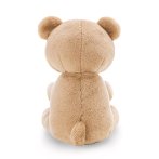 Nici Teddybär mit grünem Geschenk Rückseite | Kuscheltier.Boutique