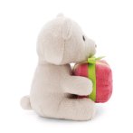 Nici Teddybär mit rosa Geschenk linke Seite | Kuscheltier.Boutique