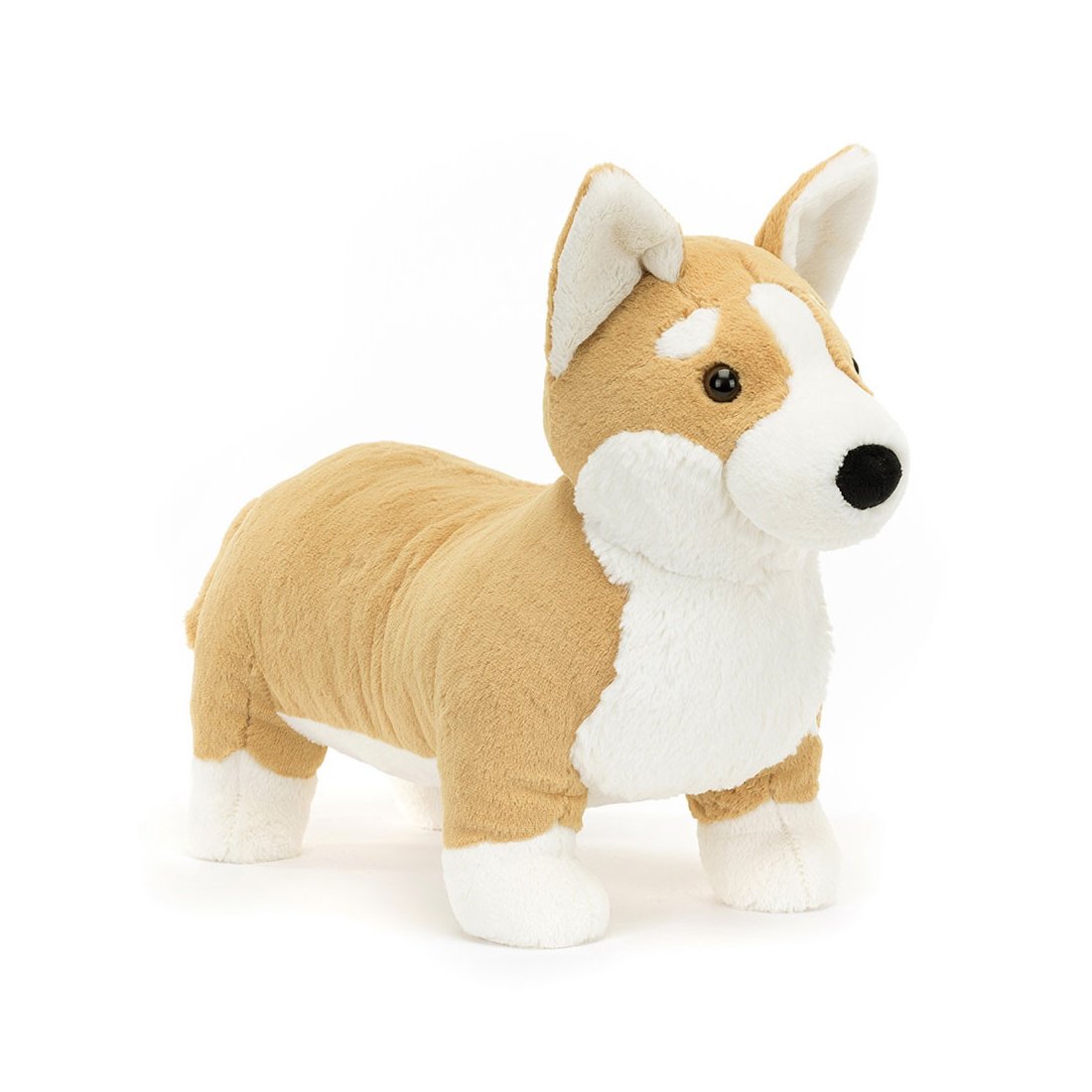 Jellycat Hund Betty Corgi Vorderseite | Kuscheltier.Boutique