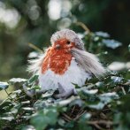 Wrendale Designs Rotkehlchen Adele Robin im Wald | Kuscheltier.Boutique
