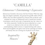 Wrendale Designs Giraffe Camilla Charaktertext | Kuscheltier.Boutique