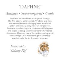 Wrendale Designs Meerschweinchen Daphne Charaktertext | Kuscheltier.Boutique