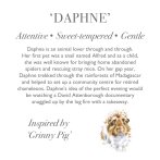 Wrendale Designs Meerschweinchen Daphne Charaktertext | Kuscheltier.Boutique