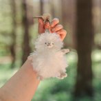 Wrendale Designs Anhänger Schaf Beryl Sheep im Wald | Kuscheltier.Boutique