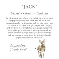 Wrendale Designs Jack Gentle - Curios - Studious | Kuscheltier.Boutique