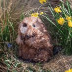 Wrendale Designs Biber Chester Biever im Wald 