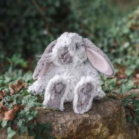 Wrendale Designs Kaninchen Rosie Rabbit im Wald 