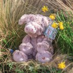 Wrendale Designs Schwein Vanessa Pig im Wald 