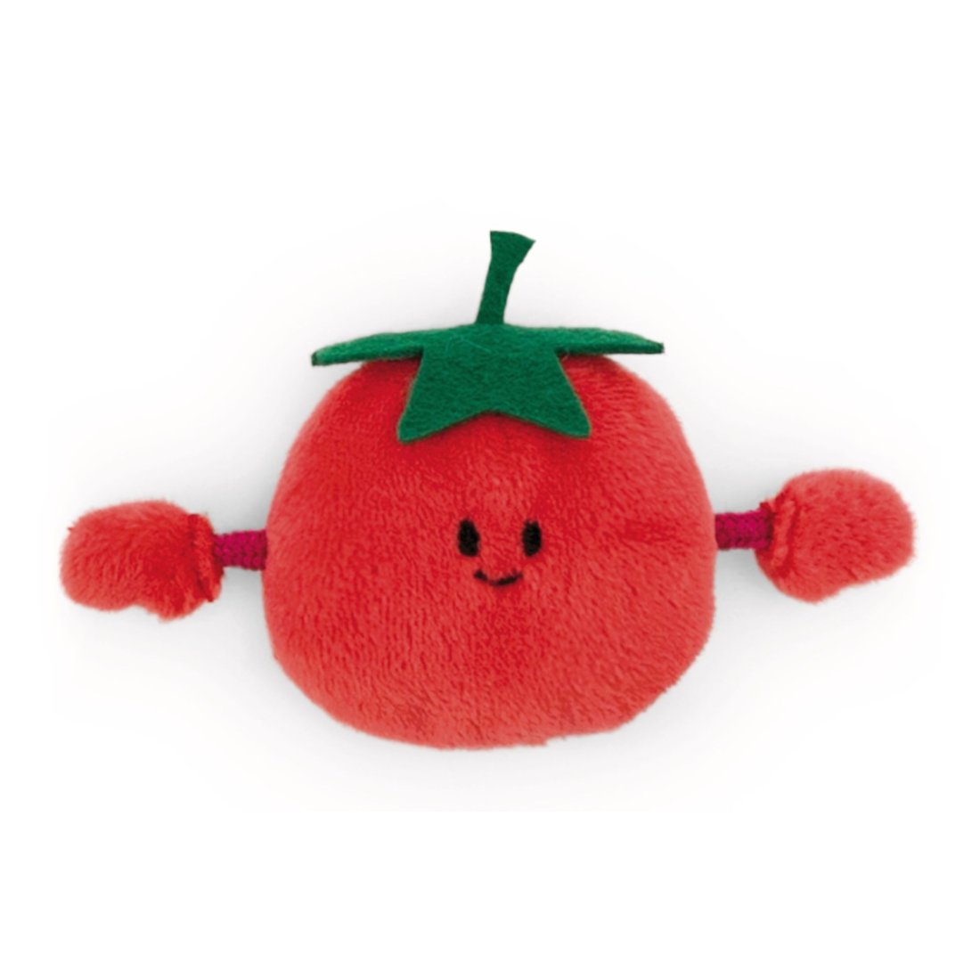 NICI Magnet Tomate, Vorderseite Mini MagNICI 