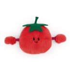NICI Magnet Tomate, Vorderseite Mini MagNICI 