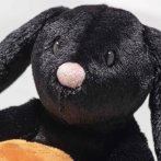 Steiff Friends Hase Hoppie Mr. Spice Gesicht | Kuscheltier.Boutique