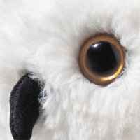 Steiff Friends Eule Hedwig - schau mir in die Augen | Kuscheltier.Boutique