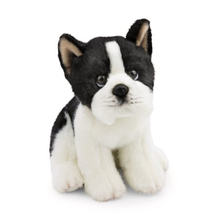 NICI Lifelike Hund Boston Terrier | Kuscheltier.Boutique