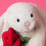 Nahaufnahme Kuscheltier Jellycat Hase Bashful Bunny mit einer roten Rose