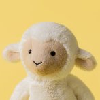 Jellycat Schaf Skipson Lamb vor einem gelben Hintergrund