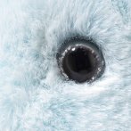 Steiff Friends Kuscheltier Harry Potter Hirsch Patronus - schau mir in die Augen