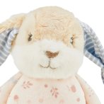 Sterntaler Hase Hanni Spieltier Mini Gesicht