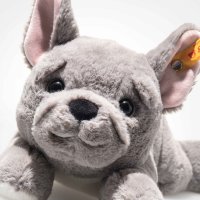 Schau mir in die Augen, Kleines! Steiff Friends Französische Bulldogge Brie ist unwiderstehlich niedlich