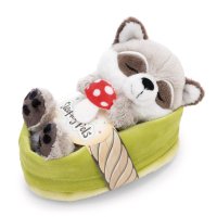 NICI Sleeping Pets Waschbär mit Fliegenpilz und Etikett