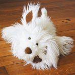 Hund, 40cm cremefarben Plüschtier Histoire d'Ours | Kuscheltier.Boutique