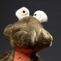 Frosch Frog Dog, 32cm | sigikid BEASTtown Kuscheltier für Jugendliche und Erwachsene
